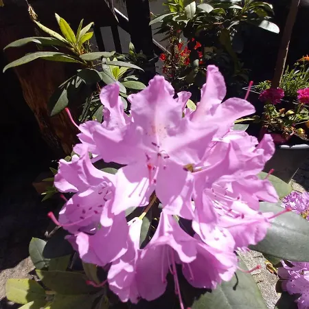 Auf Der Kunstmeile Krems an der Donau