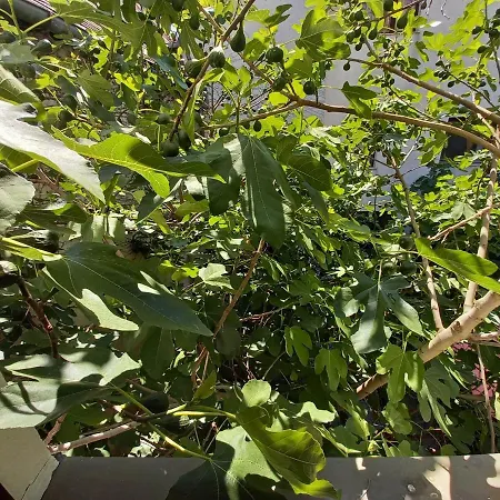 Auf Der Kunstmeile Krems an der Donau