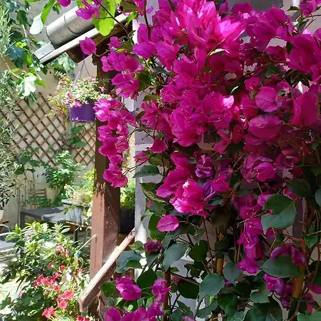 Gaestehaus Auf Der Kunstmeile 3* كريمس ان دير دوناو