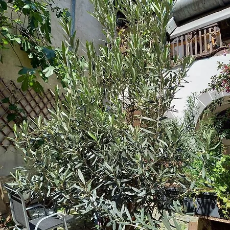 Gaestehaus Auf Der Kunstmeile فندق مبيت وإفطار 3*