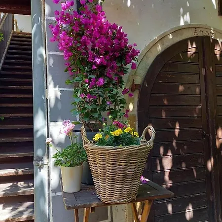 Gaestehaus Auf Der Kunstmeile 3* كريمس ان دير دوناو