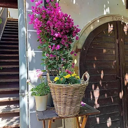 Bed & Breakfast Gaestehaus Auf Der Kunstmeile Krems an der Donau