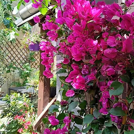 Gaestehaus Auf Der Kunstmeile Bed & Breakfast 3*