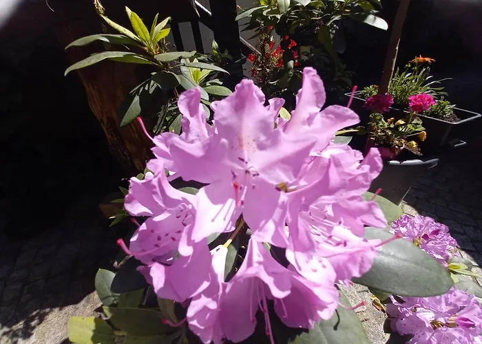 Auf Der Kunstmeile Krems an der Donau