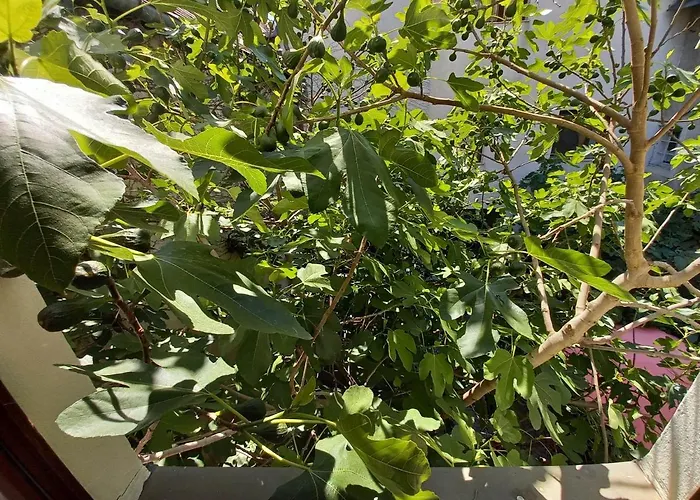 Auf Der Kunstmeile Krems an der Donau