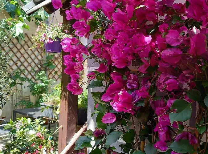 Auf Der Kunstmeile 3* Krems an der Donau