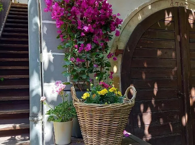 Auf Der Kunstmeile 3* Krems an der Donau