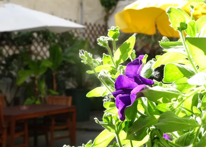 Auf Der Kunstmeile 3* Krems an der Donau